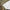Baby Dyne i 100% Naturlige Majsfibre fra Cocoon | 70x80 & 70x100