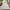 Amelia Indendørs/Udendørs Gulvtæppe i Cremefarvet fra Rugs by Uniquebeds Home & Living | Flere Størrelser