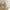 Belle Baby Vugge i 100% Naturlig Rattan fra Cocoon Company