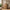 Heimdal Snedker Kommode/Skænk i Massiv FSC Egetræ med 1 Låge & 5 Skuffer med Naturolie fra Organic Sleep | B88 x H113 x D42 cm | Leveres Færdigsamlet