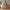 Heimdal Snedker Kommode/Skænk med 3 Skuffer & 3 låger i Massiv FSC Egetræ og Naturolie på Metalben fra Organic Sleep | H100 x B130 x D48 cm | Leveres Færdigsamlet