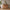 Heimdal Snedker Kommode/Skænk med 3 Skuffer & 3 låger i Massiv FSC Egetræ og Naturolie på Metalben fra Organic Sleep | H100 x B130 x D48 cm | Leveres Færdigsamlet