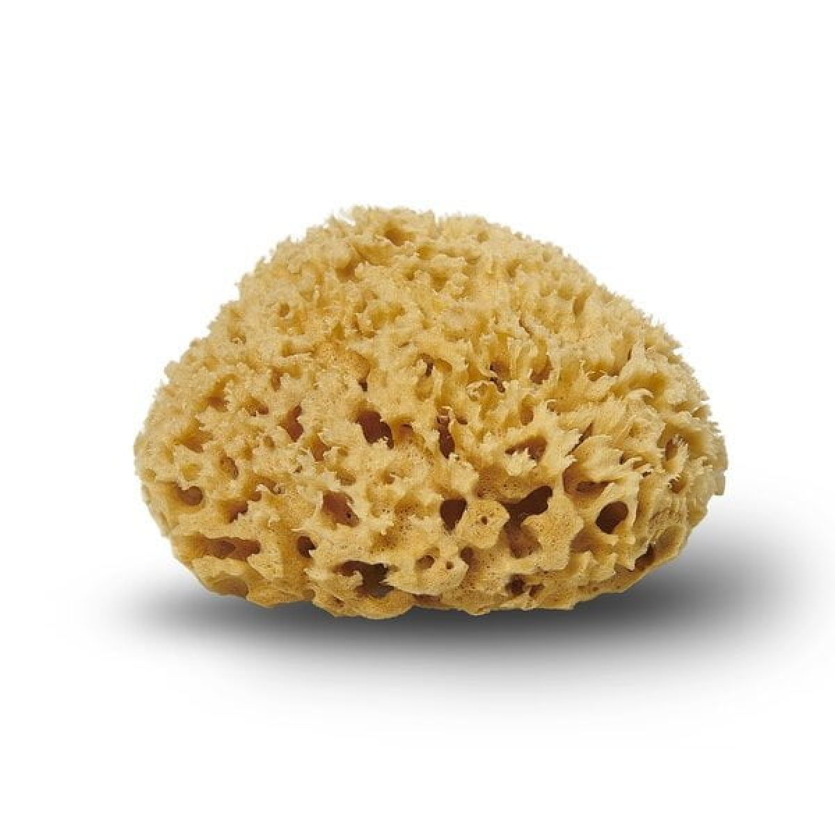 Honeycomb natursvamp fra Cocoon – fra Unique Beds, Home & Living