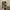 Maze Reol i Flere Farver fra Tvilum | B80xD29,5xH173,5cm