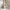 Sign Reol i Flere Farver fra Tvilum | B79,6xD34,4xH204,7cm