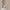 Sign Reol i Flere Farver fra Tvilum | B79,6xD34,4xH204,7cm
