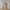 Function Plus Reol med 2 Døre i Jackson Hickory fra Tvilum | B40xD34,2xH154,7cm