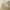 Escape Skoskab med 2 Vippedøre og 1 Skuffe i Jackson Hickory fra Tvilum | B70,4xD23,8xH93,65cm