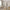 Paris Reol i Flere Farver fra Tvilum | B96,2xD36,6xH200,76cm
