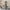 Sign Reol i Flere Farver fra Tvilum | B79,6xD34,4xH204,7cm