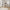 Function Plus Skrivebord med 1 Skuffe i Flere Farver fra Tvilum | B109,3xD48,5xH75,6cm