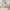 Function Plus Skrivebord med 1 Skuffe i Flere Farver fra Tvilum | B109,3xD48,5xH75,6cm