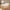 Ikast Seng 160x200 i Jackson Hickory og Hvid fra Tvilum | B169,8xD216xH96,8cm