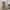 Basic Reol med 4 Hylder i Flere Farver fra Tvilum | B79xD26,72xH203,2cm
