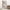 Maze Reol i Flere Farver fra Tvilum | B80xD29,5xH173,5cm