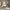 Ry Natbord med 1 Skuffe i Jackson Hickory fra Tvilum | B53,3xD40,1xH59,6cm