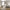 Paris Seng til Madras 152x203 i Hvid fra Tvilum | B171,6xD212,8xH110cm