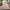 Lily Indendørs/Udendørs Gulvtæppe i Beige fra Rugs by Uniquebeds Home & Living | Flere Størrelser