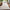 Lily Indendørs/Udendørs Gulvtæppe i Cremefarvet fra Rugs by Uniquebeds Home & Living | Flere Størrelser