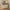 Mistral Modul 119 i Beige Massiv Egetræsfinér fra Hammel Furniture | Færdig Kombination 17 - BHD 132,6x119x32,5 cm – fra Unique Beds, Home & Living