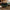 Next Daybed Fra Karup Design i Massiv FSC Fyrretræ 75x200cm | Flere Farver | Japandi
