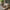 Pace Daybed Fra Karup Design i Massiv FSC Fyrretræ | Japandi