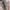 SMILLA Plaid fra Arctic | Beige