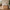 Sif Snedker Bænk med 2 Skuffer i Massiv FSC Bøgetræ og Naturolie fra Organic Sleep | B40 x H45 x L82