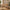 Sif Snedker Skrivebord med 1 skuffe i Massiv FSC Bøgetræ og Naturolie fra Organic Sleep | B55 x H177 x L126