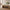 Sif Snedker bænk med skohylde i massiv FSC bøgetræ og naturolie fra Organic Sleep | L120 x D40 x H45 cm