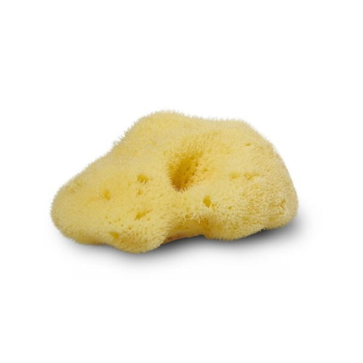 Silkesvamp 4-5 cm (lille) fra Cocoon – fra Unique Beds, Home & Living