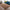 Sophia Mocca Gulvtæppe i Polyester fra Rugs by Uniquebeds Home & Living | Flere Størrelser i Firkantet & Rund