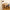 Tuck Bord Fra Karup Design i Massiv FSC Fyrretræ | Japandi