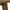 A Line Sofabord Røg Egetræ Actona