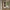 A-Line Vitrine i Hvidpigmenteret Egetræ med 2 Skuffer, 3 Hylder & Dør i Klar Glas fra Actona | B72xD42xH190cm - Billede 1