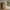 Albany Skoskab i Eg Egetræ med Lamel Front & Stel i Sort Stål fra Actona | B98,7xD35xH140,4cm - Billede 1