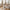 Amorim Spisebordsstole i Hvid bouclé med sort drejefod fra House Nordic
