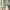 Ascot Stumtjener i Hvid MDF fra Actona | B42xD42xH178cm - Billede 1