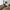 Avola Spisebordsstol i Grafitgrå med Sort Metal Stel fra Unique Furniture | B59xH87xD65cm