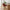 Avola Spisebordsstol med Armlæn i Rustrød Polyester og Sort Stål Stel fra Unique Furniture | B59xH87xD65cm