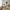 Avola Spisebordsstol med Armlæn i Sandfarvet Stof med Sort Stål Stel fra Unique Furniture | B59xH87xD65cm