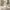 Bali Sofabord i Naturolieret 100% Massiv Egetræ fra Lexpo Living | 70x50x36 / 90x60x44 / 105x70x52 cm - Billede 1