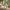 Bali Sofabord Sæt af 2 i Naturolieret 100% Massiv Egetræ fra Lexpo Living | 70x50x36 & 90x60x44 cm - Billede 1