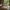 Bali Sofabord Sæt af 2 i Naturolieret 100% Massiv Egetræ fra Lexpo Living | 90x60x44 & 105x70x52 cm - Billede 1