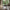 Bali Sofabord Sæt af 2 i Røget 100% Massiv Egetræ fra Lexpo Living | 70x50x36 & 90x60x44 cm - Billede 1