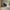 Bella Spisebordsstol i Antracit Stof med Armlæn og Stel i Sort Egetræ fra Actona | 59x62x80cm - Billede 1