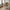 Belmont Spisebordsstol i Sand fra House Nordic | 57x61x79cm