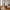 Boavista Sofabord i MDF med Træ look Fra House Nordic | ø80x45 cm