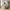 Bonn Sidebord i Naturfarvet Fiberclay med Rillet Design fra House Nordic | Ø37xH43cm
