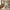 Bonn Sidebord / Sofabord i Naturfarvet Fiberclay fra House Nordic | Ø47,5xH41cm
